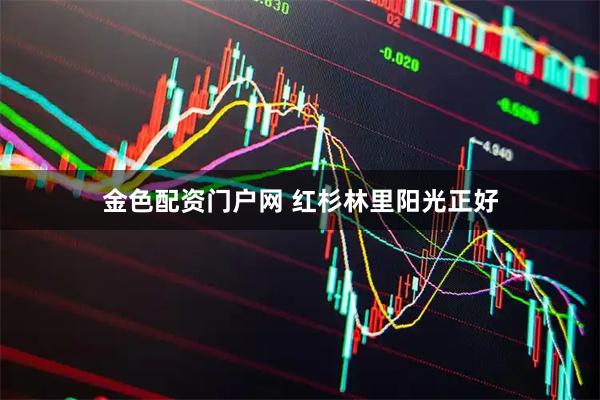 金色配资门户网 红杉林里阳光正好
